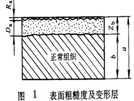 表面.jpg